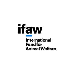 Ifaw Logo